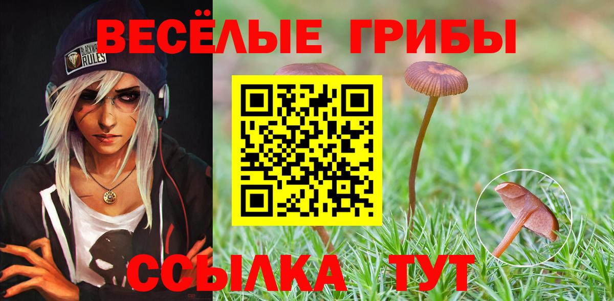 Псилоцибиновые грибы мухоморы Черняховск