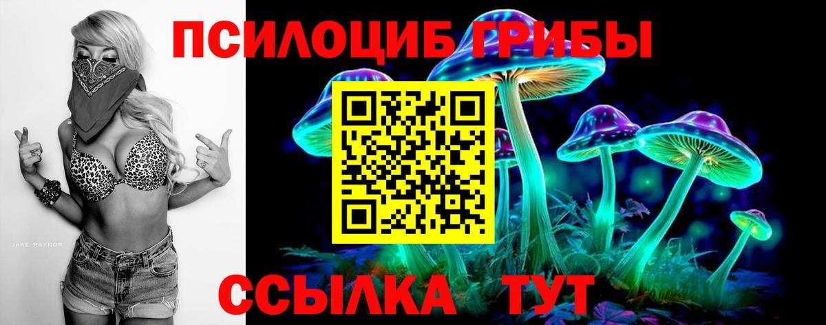 Галлюциногенные грибы мицелий  Вход с VPN  Галлюциногенные грибы Cubensis  Черняховск 
